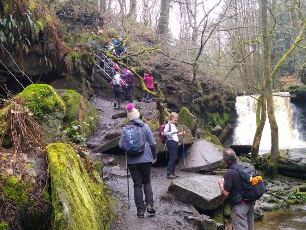 Goit Wood falls
