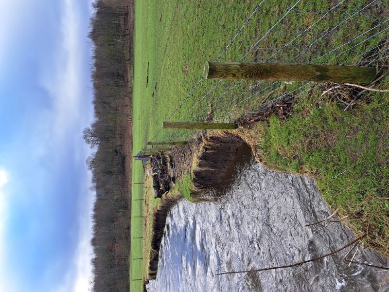 Sawley 20240130 1