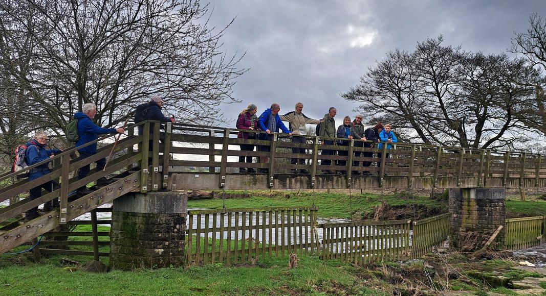 bridge over Skirden Beck