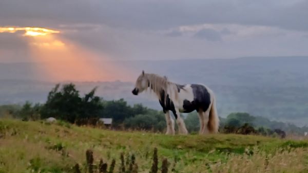 Dean Clough