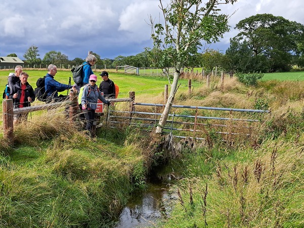 Stream near Wigglesworth